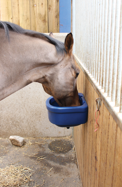 JFC Agri Wall Feeder blue, horse wall-mounted feed bowl in stable