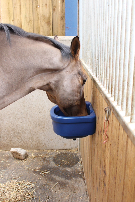 JFC Agri wall-mounted blue haybells horse feed bowl; horse eating at stall wall.