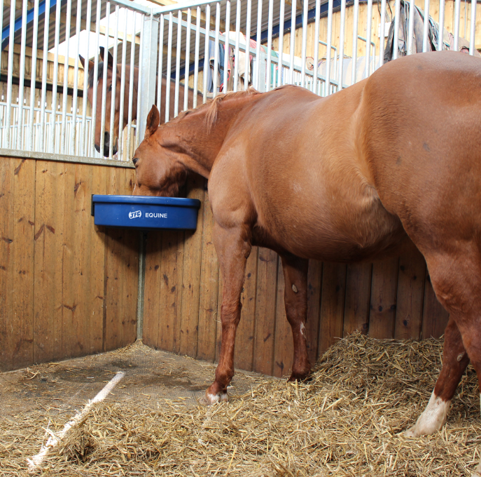 JFC Agri Corner Feeder blue hay bowl for horses, mounted in stall corner