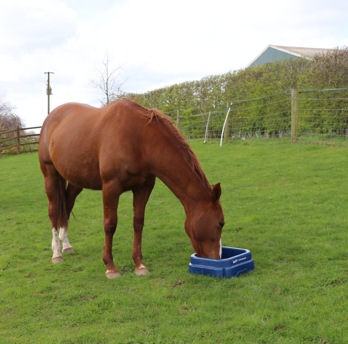 JFC Agri square floor feeder blue plastic for horses in pasture