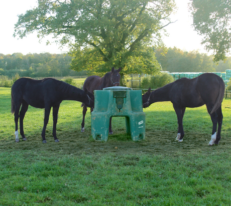 JFC Ringfort Foal Creep Feeder, 4-Port Field Feeder by JFC Agri; green haybell with three horses grazing nearby