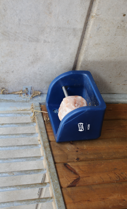 JFC Agri mineral lick holder, blue, mounted on wood wall/post with rock salt block