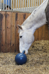 JFC Playball Blue P-BALL horse enrichment toy; blue ball on stable floor beside white horse.