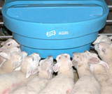 JFC Agri 10-teat lamb teat feeder, blue gravity-fed feeder for gate or fence mounting, with lambs gathered around.