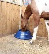 JFC Circular Floor Feeder for horses; blue plastic bowl with JFC Equine branding in a stable.
