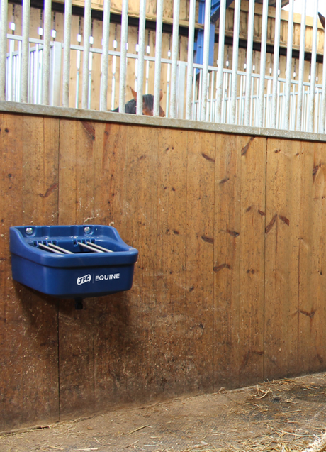JFC Equine Foal Creep Feeder blue mounted on wooden stall wall with adjustable stainless steel bars