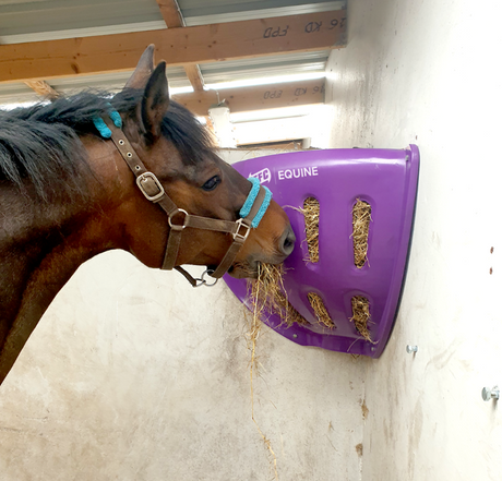 JFC Tear Drop Corner Hay Feeder Purple for horses; corner-mounted slow-feed feeder in stable