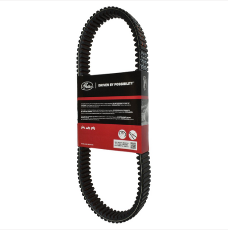 Gates REDLINE CVT drive belt 40R3691, black toothed belt with red packaging band.