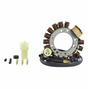 High Output Generator Stator for Honda TRX350 Foreman ATV (1986–1989) by DGT Agri, copper-winding stator with harness.