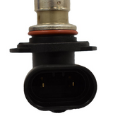 HB3 12V 60W ATV bulb by DGT Agri, Can-Am Outlander/Commander compatible, two-pin connector