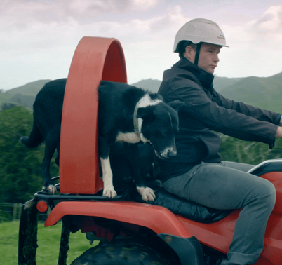 QuadGuard CPD & Mounting – Trax Red by DGT Agri on red tractor with rider and dog