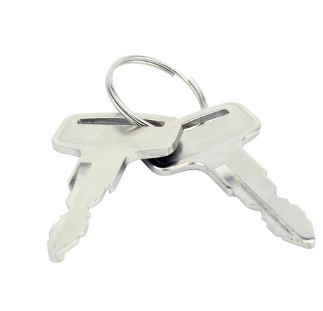 Ignition key set for Kawasaki Mule KAF 3-position switch; two silver keys on a keyring, by DGT Agri.