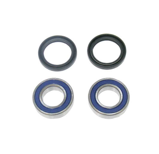 Wheel Bearing Kit by DGT Agri; 4-piece set with two black seals and two blue bearings.