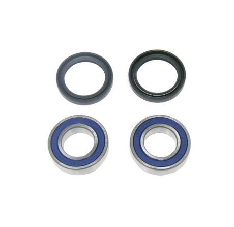 Wheel Bearing Kit by DGT Agri; 4-piece set with two black seals and two blue bearings.