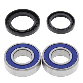 Wheel bearing kit for Kawasaki KLF Bayou rear wheel; DGT Agri, with two blue-sealed bearings and two black seals.