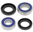 Front wheel bearing kit by DGT Agri for Yamaha Bear Tracker (1999–2000); four bearings with blue seals