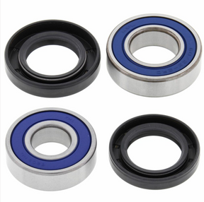 Front wheel bearing kit by DGT Agri for Yamaha Bear Tracker (1999–2000); four bearings with blue seals