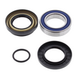 Wheel bearing kit for Honda TRX420 Rancher (2007–2013); 4-piece set with blue-sealed bearings