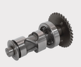 Camshaft with drive gear, silver metal, for Honda TRX250 Recon