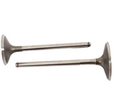 Engine valve pair, steel, for Can-Am ATVs (Outlander/Renegade/Maverick, 2013–2021) – ATV City