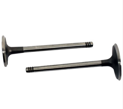 Engine valve pair for Can-Am DS650 (2000–2007): two steel valves with silver stems and dark heads