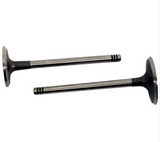 Engine valve pair for Can-Am DS650 (2000–2007): two steel valves with silver stems and dark heads