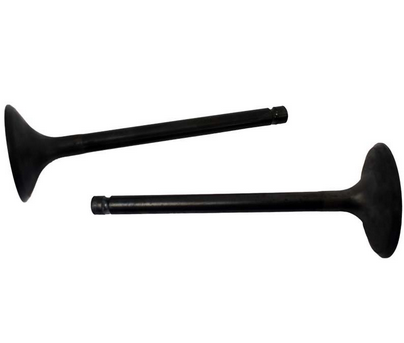 Engine valve pair, two black metal valves for ATV engines
