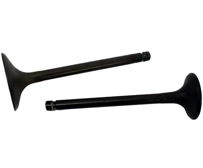 Engine Valve Pair for Yamaha YFM350ER Moto-4 and YFM350FW Big Bear, black metal valves with long stems