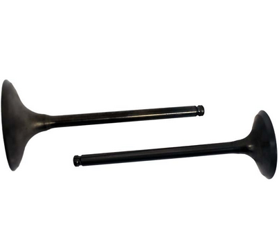 Engine Valve Pair, black metal valves with long stems for ATV engines