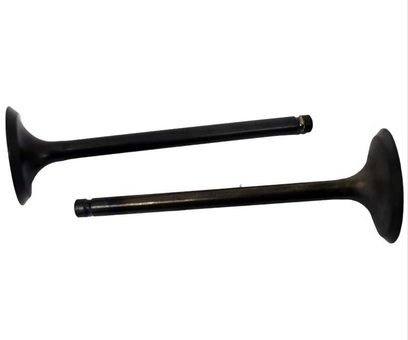 Engine valve pair, black metal, for Suzuki LT230/LT-F230/LT-F250 Ozark/LT-Z250 QuadSport ATV