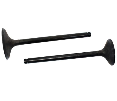 Engine Valve Pair for Honda TRX250TE/TRX250TM Recon (2002–2025) - steel valves, ATV City.