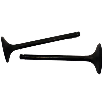 Engine valve pair for Honda TRX250 (1997–2001), two black valves.