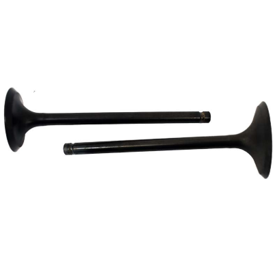 Engine valve pair (2) for Suzuki LT-4WD LT250S LT-F250 QuadRunner LT-F300F LT-F4WDX KingQuad (1987–2002)