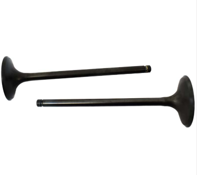 Engine Valve Pair by ATV City, black metal for Honda TRX650FA/TRX680FA (2003–2011)