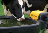 JFC Agri 1000L oval fast-fill water trough black with yellow valve; cow drinking at the trough.