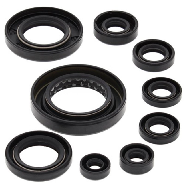 Engine Oil Seal Kit Fits Honda TRX 420 FM FE TM TE 2007 2020 Engine and Transmission Seals