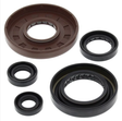 Engine oil seal kit for Honda TRX 500 FM (2005-2011); multi-piece brown and black rubber seals
