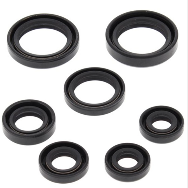 Engine Oil Seal Kit For Honda TRX 350 2000 Through 2006 Fits Engine And Transmission Seals