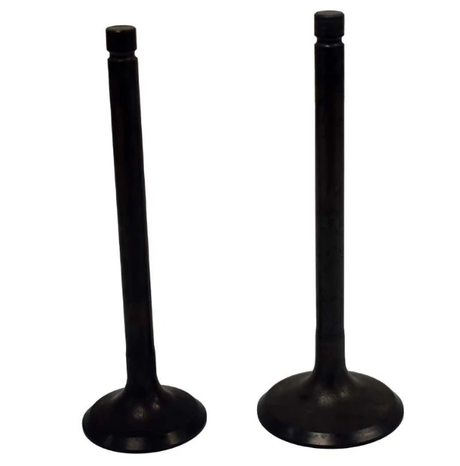 Engine valve pair, black finish, ATV City aftermarket part for Kawasaki KLF300 4x4 ATVs