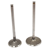 Engine valve pair for Can-Am ATVs, metallic steel finish, by ATV City
