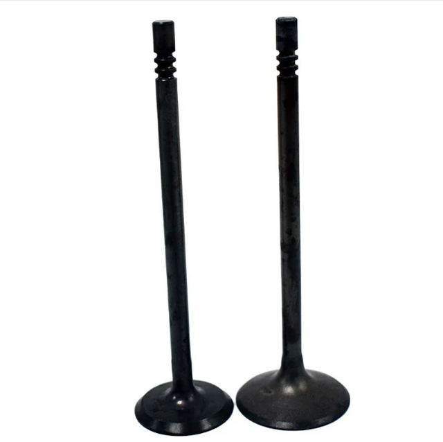Engine Valve Pair for Polaris Ranger 700/800, Sportsman 700/800, RZR 800 by ATV City, black