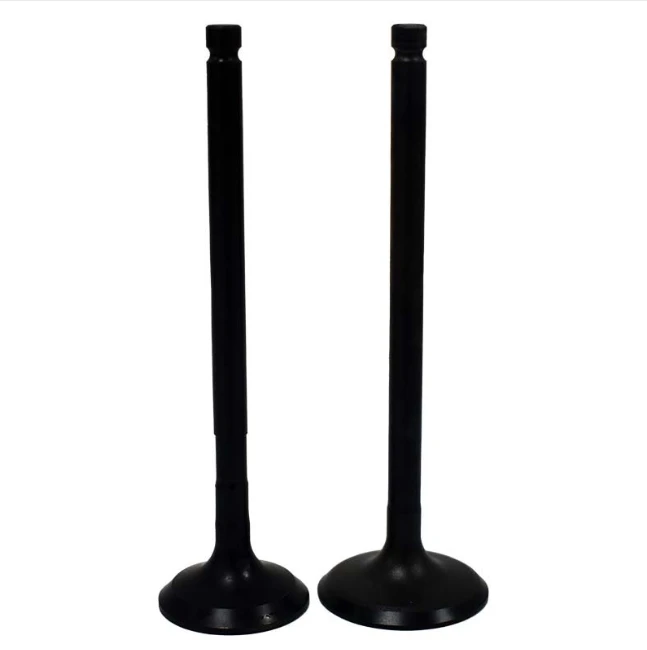Polaris Engine Valve Pair Kit for 400–550cc engines, black metal intake and exhaust valves