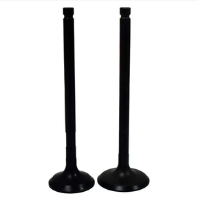 Polaris Engine Valve Pair Kit for 400–550cc engines, black metal intake and exhaust valves