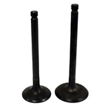 Engine valve pair for Yamaha YFM600 Grizzly 1998-2001, ATV City aftermarket, black steel intake & exhaust valves (2)