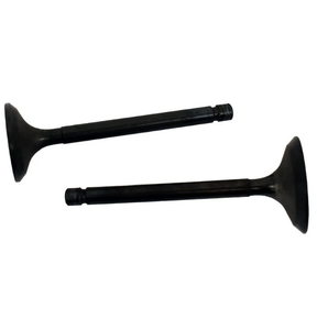 Engine valve pair, black metal, for Yamaha YFA1 Breeze and YFM125 Grizzly ATVs (2 pcs) — aftermarket replacement