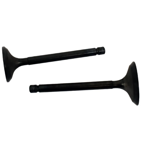 Engine valve pair, black metal, for Yamaha YFA1 Breeze and YFM125 Grizzly ATVs (2 pcs) — aftermarket replacement