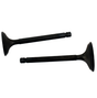 Engine valve pair, black metal, for Yamaha YFA1 Breeze and YFM125 Grizzly ATVs (2 pcs) — aftermarket replacement