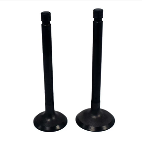 Engine valve pair for Yamaha YFM 80/100 ATV, black, aftermarket direct replacement