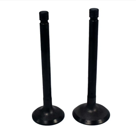 Engine valve pair for Yamaha YFM 80/100 ATV, black, aftermarket direct replacement