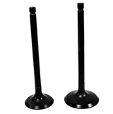 Engine valve pair, black finish, for Yamaha ATV models YFM200/225/250 by ATV City